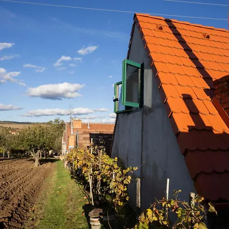 Sklípek Na Císařské Hébergement de vacances Moravany (Hodonin)